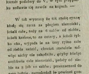 Niecodziennik muzealny - Uprawa ziemniaków w Polsce w XVIII i pierwszych dekadach XIX wieku. Niecodziennik muzealny - Uprawa ziemniaków w Polsce w XVIII i pierwszych dekadach XIX wieku.