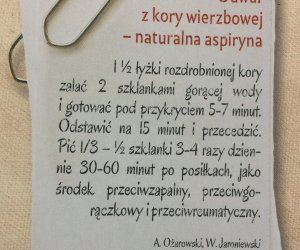 Codziennik Muzealny - wierzba - naturalna aspiryna Codziennik Muzealny - wierzba - naturalna aspiryna