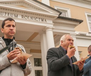 Wykopki w Skansenie 2013