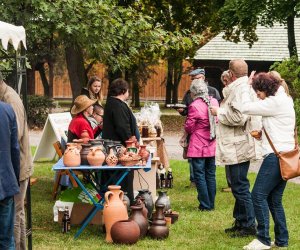 Wykopki w Skansenie 2013 Wykopki w Skansenie 2013