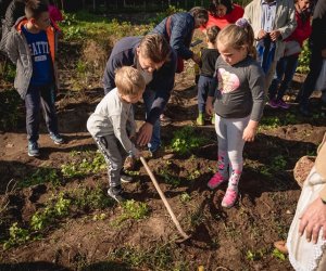 Jesień w polu i zagrodzie - fotorelacja Jesień w polu i zagrodzie - fotorelacja