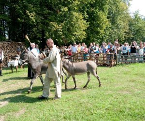 X PODLASKIE ŚWIĘTO CHLEBA