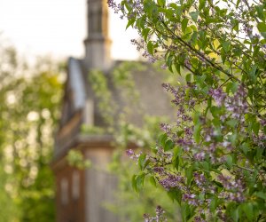 Majówka w Muzeum Majówka w Muzeum