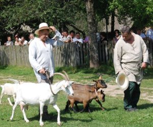 IX Podlaskie Święto Chleba IX Podlaskie Święto Chleba