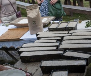 XX Podlaskie Święto Chleba - fotorelacja XX Podlaskie Święto Chleba - fotorelacja