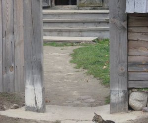 Międzynarodowa konferencja w Mińsku Białoruskim