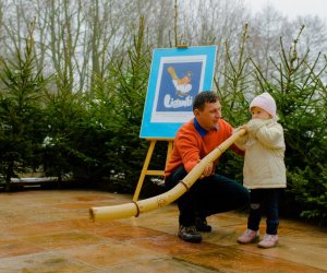 Galeria z 6 grudnia 2014