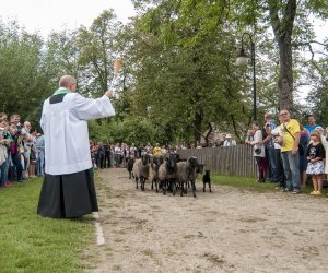 XVI Podlaskie Święto Chleba