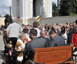 XII Podlaskie Święto Chleba, 12.08.2012 r. XII Podlaskie Święto Chleba, 12.08.2012 r.