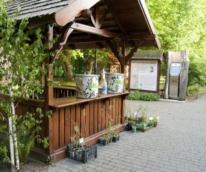 Noc Muzeów w Muzeum Rolnictwa Noc Muzeów w Muzeum Rolnictwa