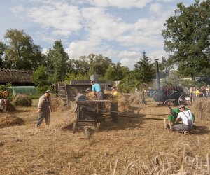 XVI Podlaskie Święto Chleba