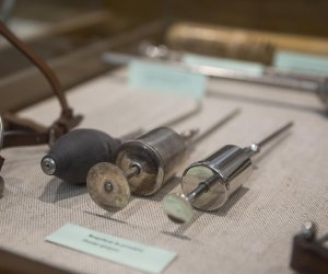 NIECOdziennik muzealny - Weterynaria