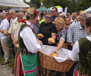 XXIII Podlaskie Święto Chleba - fotorelacja XXIII Podlaskie Święto Chleba - fotorelacja