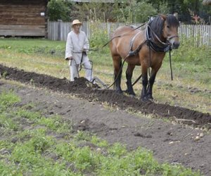 Kolejny odcinek "Księgi obyczaju" w naszym Muzeum Kolejny odcinek "Księgi obyczaju" w naszym Muzeum