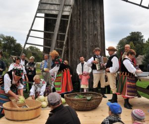 Wykopki w Skansenie Wykopki w Skansenie