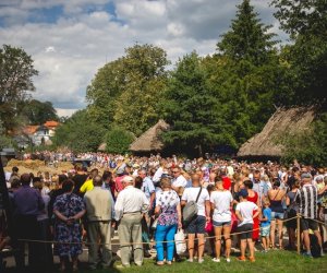 XIX Podlaskie Święto Chleba - fotorelacja