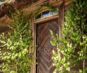 Siedem tygodni po Wielkanocy Siedem tygodni po Wielkanocy