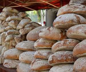 XV Podlaskie Święta Chleba w Muzeum Rolnictwa im. ks. Krzysztofa Kluka w Ciechanowcu XV Podlaskie Święta Chleba w Muzeum Rolnictwa im. ks. Krzysztofa Kluka w Ciechanowcu