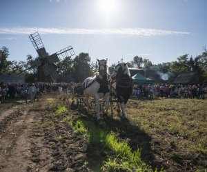 Jesień w polu i zagrodzie 2021 - fotorelacja Jesień w polu i zagrodzie 2021 - fotorelacja