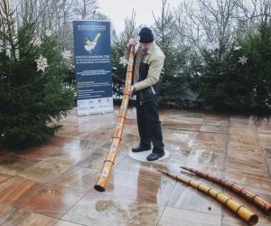 Ligawki 2018 Ligawki 2018