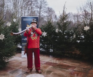 Ligawki 2017 - fotorelacja Ligawki 2017 - fotorelacja