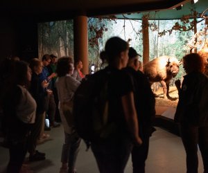 Konferencja Naukowo-Szkoleniowa III PARAZYTOZY ZWIERZĄT - fotorelacja Konferencja Naukowo-Szkoleniowa III PARAZYTOZY ZWIERZĄT - fotorelacja