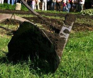 Wykopki w skansenie 2009