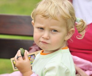 Wykopki w skansenie podsumowanie, fotorelacja. Wykopki w skansenie podsumowanie, fotorelacja.