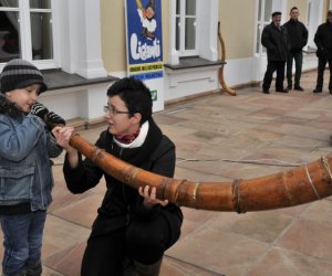 Galeria zdjęć z 01-12-2012 Galeria zdjęć z 01-12-2012