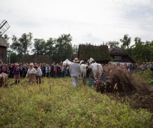 Impreza plenerowa - Jesień w Polu i Zagrodzie