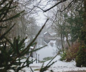 Ligawki 2018 Ligawki 2018