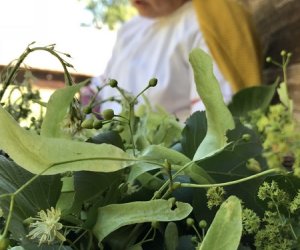 Wianki w Oktawę Bożego Ciała Wianki w Oktawę Bożego Ciała