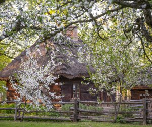 Majówka w Muzeum Majówka w Muzeum