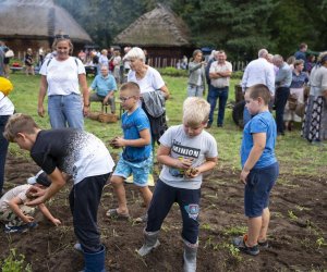 Jesień w polu i zagrodzie - fotorelacja - 15 września 2024
