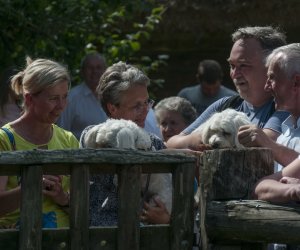 XX Podlaskie Święto Chleba - fotorelacja XX Podlaskie Święto Chleba - fotorelacja