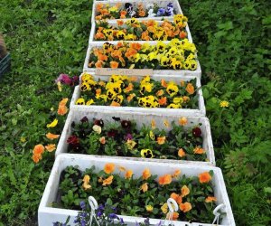 JARMARK ŚW. WOJCIECHA